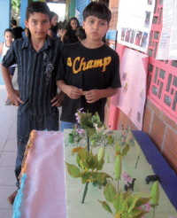img-1783-3