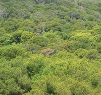 img-1700-06