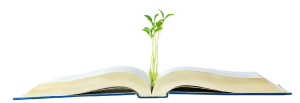 livro_aberto_semente_AdobeStock_19103273_Elnur